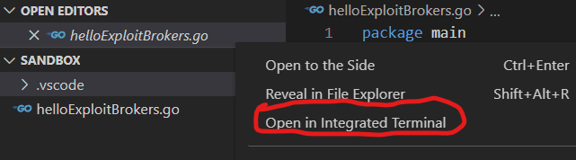 Right clicking the file opens the menu to find the Open in Integrated Terminal options